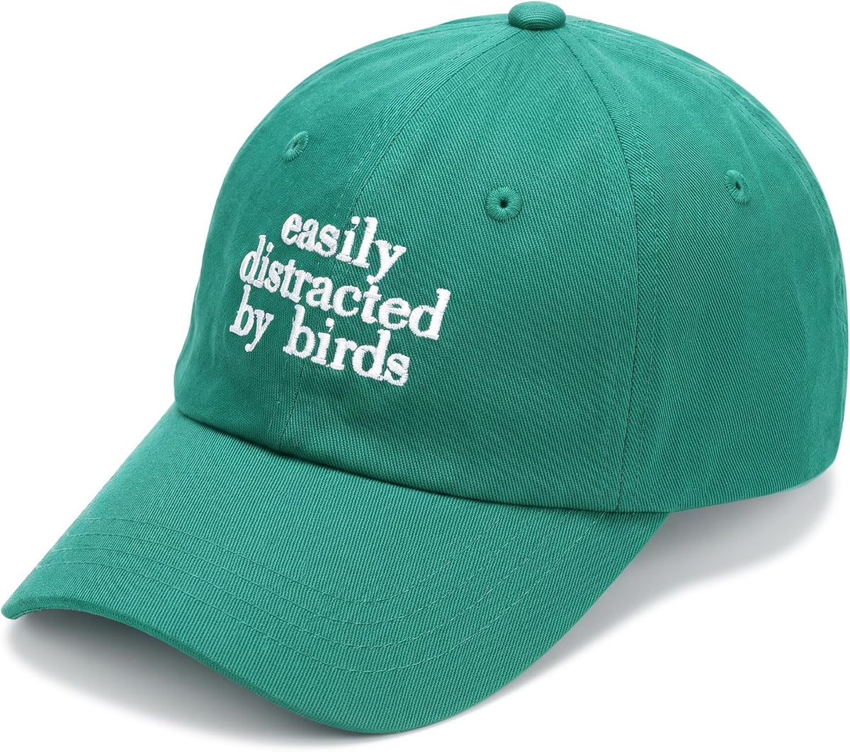 A Cap for Those Who Can’t Stop Watching the Sky